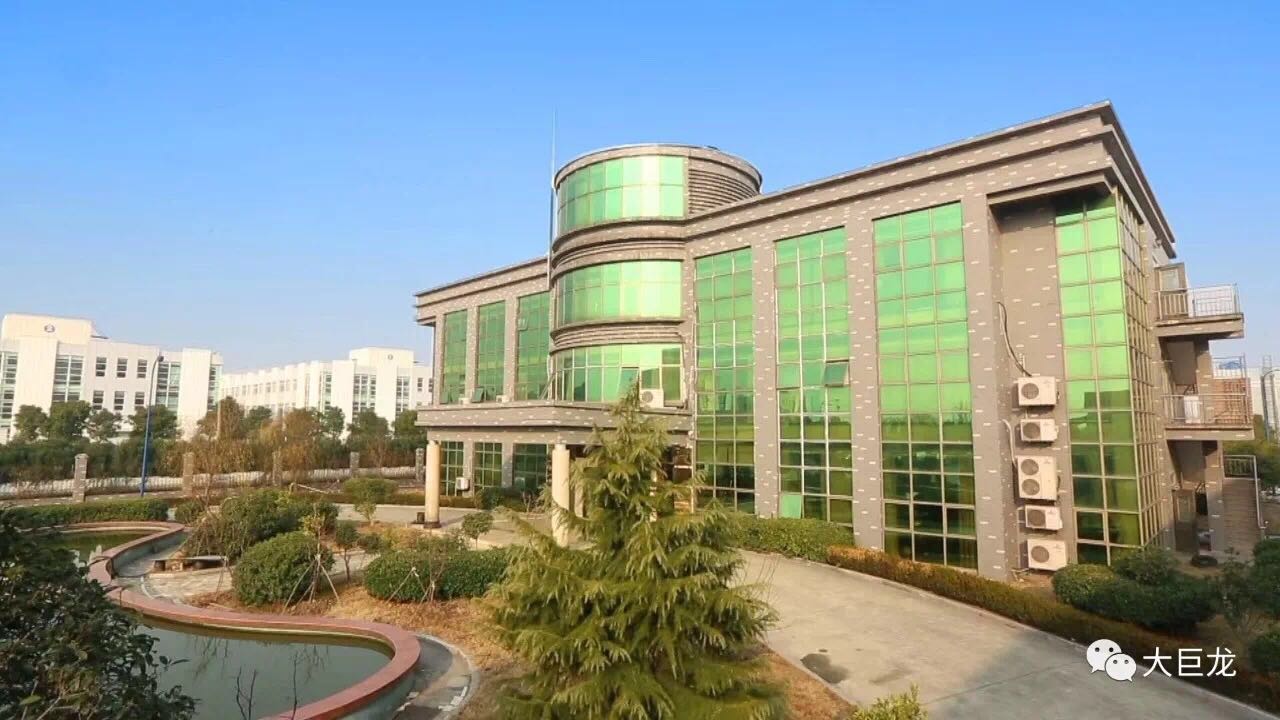 2018年元旦大巨龍集團董事長賀詞