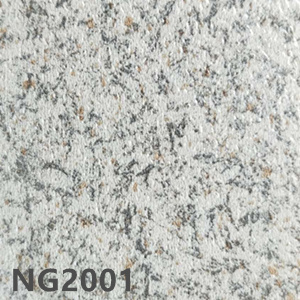 NG2001