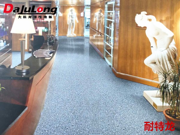 Dajulong Flooring Netron-Coiled PVC Plast