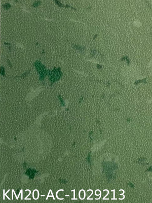 1029213 卡曼國際-卡曼威彩商用卷材塑膠地板